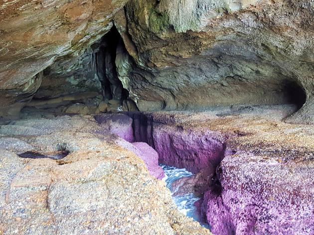 Pink Caves, Catherine Hill Bay Pink Caves, Catherine Hill Bay