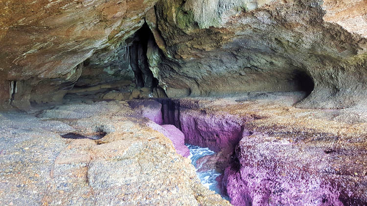Pink Caves, Catherine Hill Bay