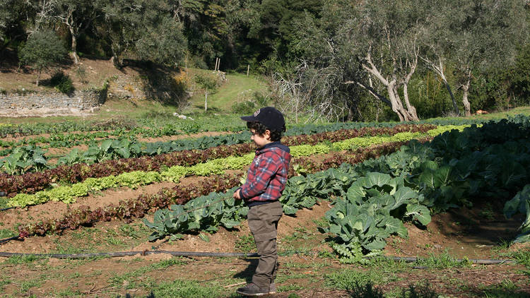 Quinta do Pisão, Actividades, Passeios