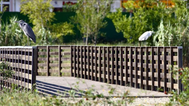 Parque Ecológico Urbano de Viana do Castelo