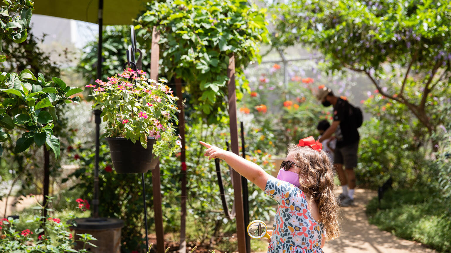 Butterfly Pavilion at the Natural History Museum Things to do in Los