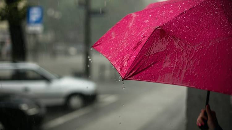 You'll take an umbrella everywhere – even when it’s just drizzling 