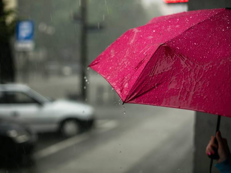 You'll take an umbrella everywhere – even when it’s just drizzling 