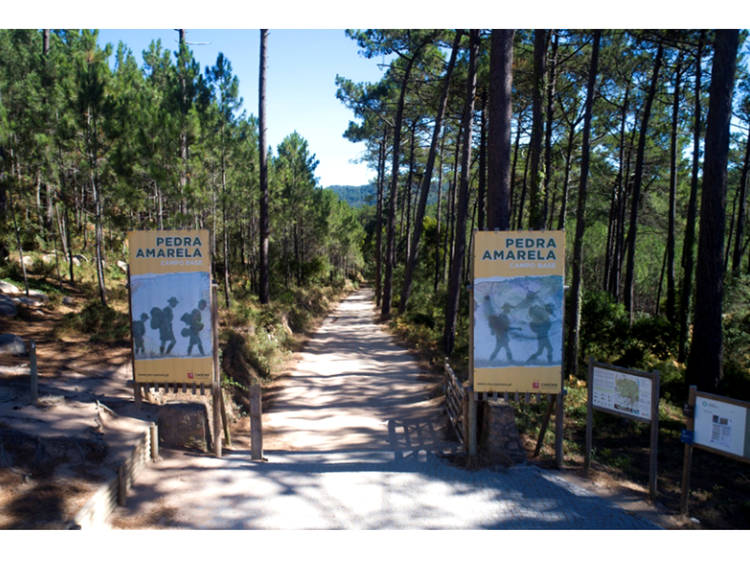 Descobrir o Pedra Amarela Campo Base