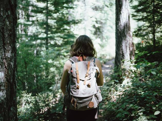 © Jake Melara / Unsplash © Jake Melara / Unsplash