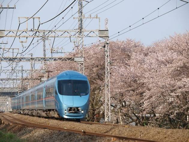 Sakura Outlet Shopping And Mt Fuji A Day Trip From Tokyo To Gotemba Now Gets Easier