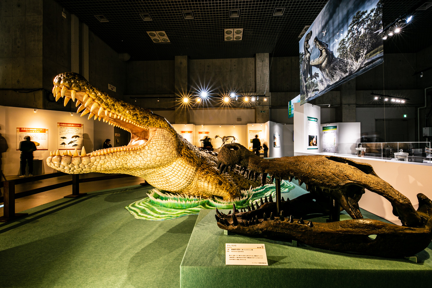 「デイノスクス」復元模型 Photo: Keisuke Tanigawa