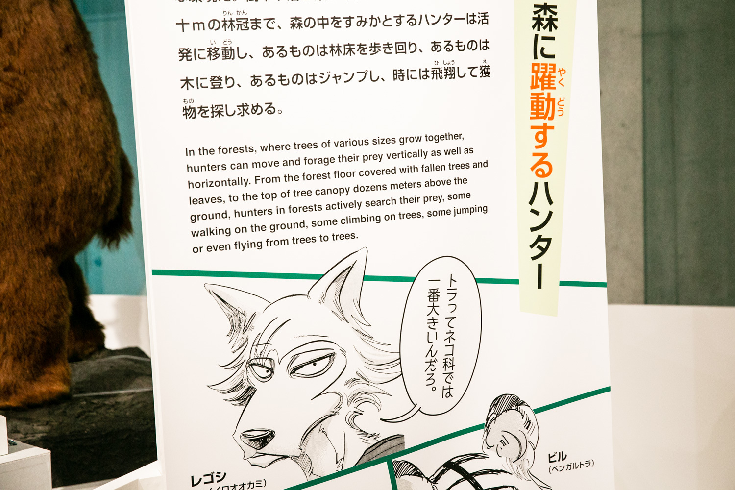 「BEASTARS」とコラボ Photo: Keisuke Tanigawa