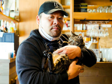 パブリックキャット 第43回 パブリックキャット 第43回