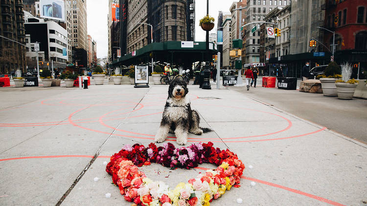 Floral Heart Project