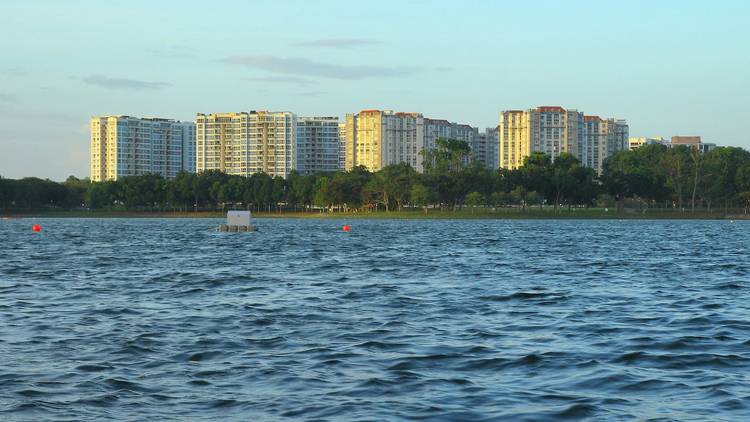 Bedok