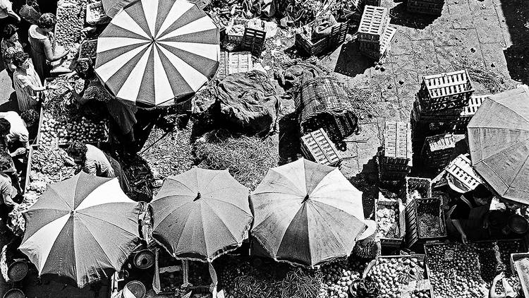 Mercat de la Boqueria, 1966.