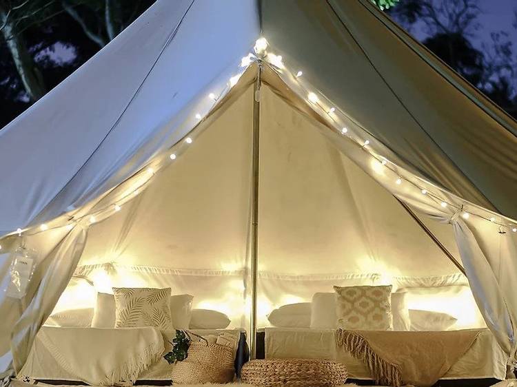 Glamping City