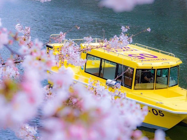 This Tokyo staycation deal includes a cherry blossom river cruise