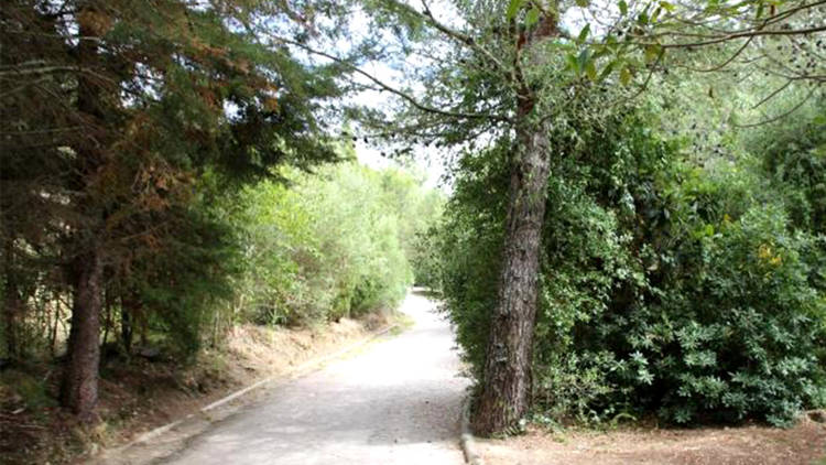 Parque, Jardim, Estoril, Parque Urbano Bosque dos Gaios