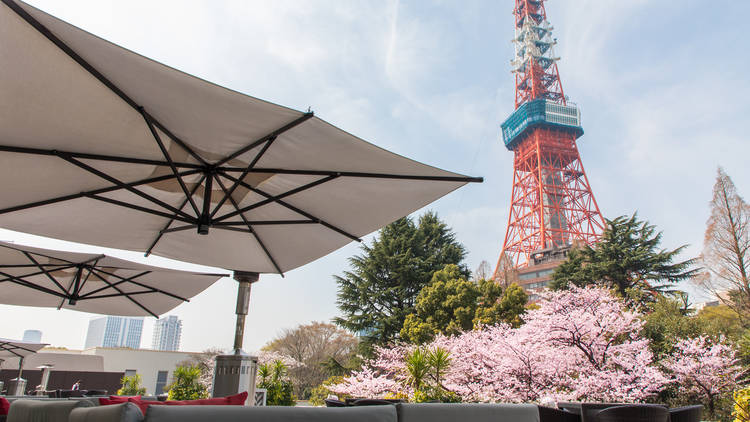 Tokyo Prince Hotel Sakura Festival