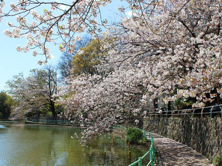 武蔵関公園