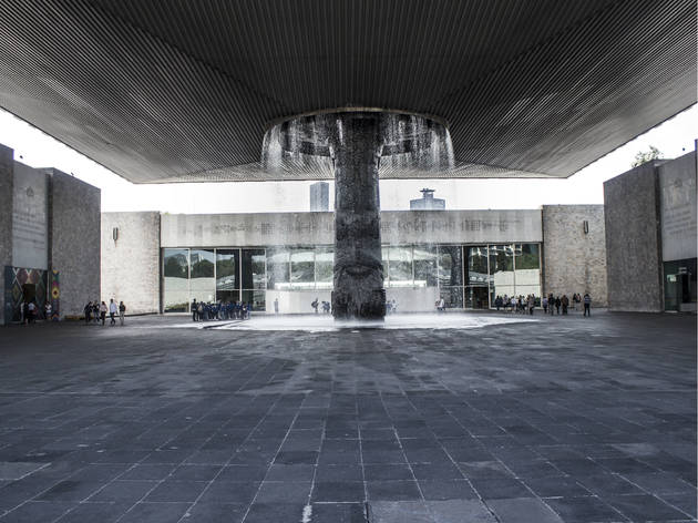 Museos de la CDMX que ya abrieron sus puertas y debes visitar Museos de la CDMX que ya abrieron sus puertas y debes visitar