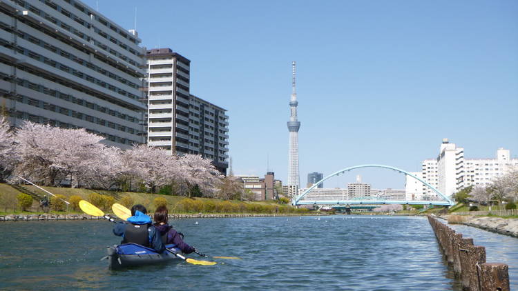 お花見カヌークルーズ（旧中川）