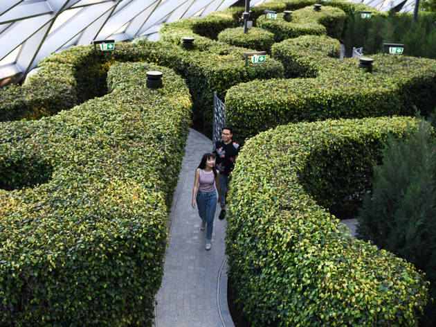 Canopy Park, Hedge Maze, Jewel Changi Airport Canopy Park, Hedge Maze, Jewel Changi Airport