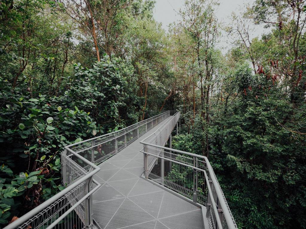 21 Best Nature Trails In Singapore Nature Walks 