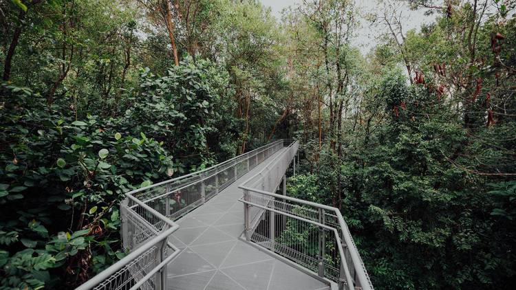 The best kid-friendly hiking trails in Singapore for the family