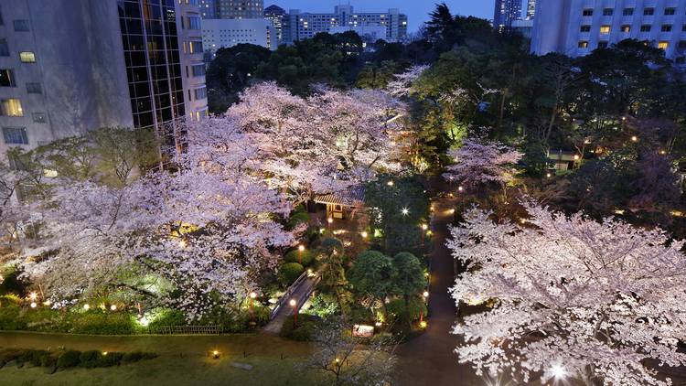 高輪 花香路 日本庭園