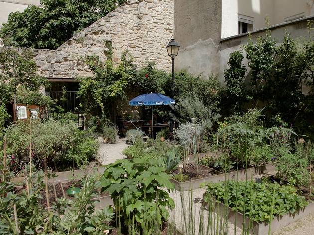 Le Potager des Oiseaux Le Potager des Oiseaux
