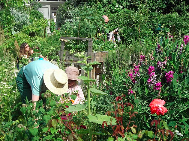 © Le Jardin Poireau Agile © Le Jardin Poireau Agile