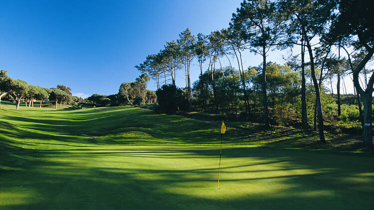 Caminhadas, tai chi, yoga ou golf com a International Women in Portugal