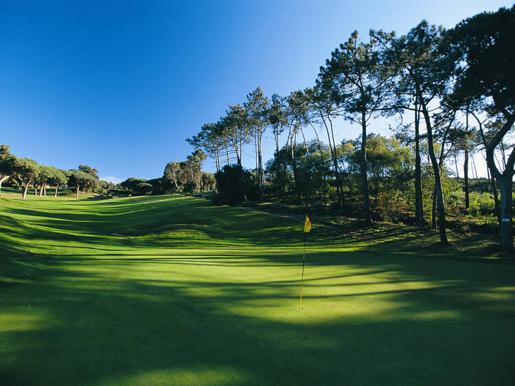 Caminhadas, tai chi, yoga ou golf com a International Women in Portugal