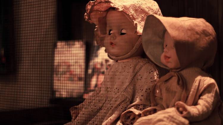 Some old dolls from an escape room