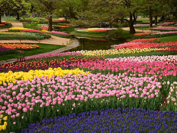 beautiful spring garden