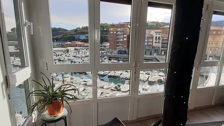 Un árbol en casa en Bermeo, Vizcaya 