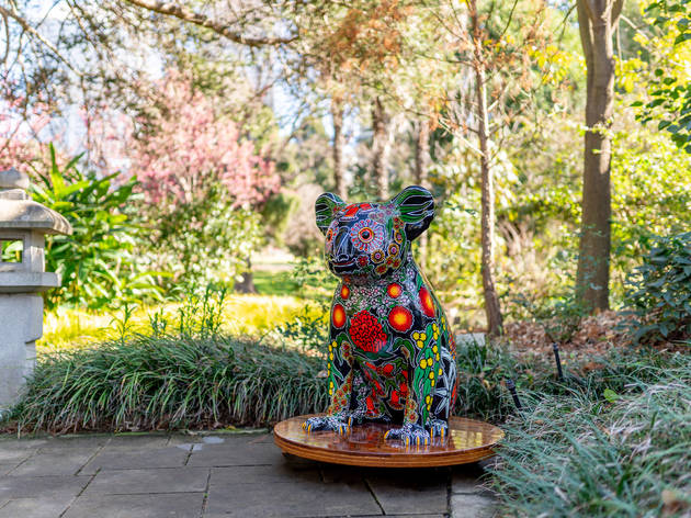 Hello Koalas Sculpture Trail Campbelltown Sculpture of koala set again bushland