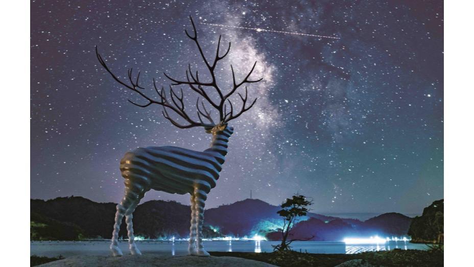 《White Deer(Oshika)》(2017) ©Reborn-Art Festival 2017 photo : Kieko Watanabe(Pontic Design Office)