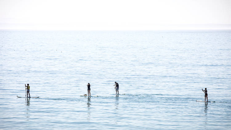 Desporto, Aulas, Stand-Up Paddle, Sup-paddle board Ocean Activities