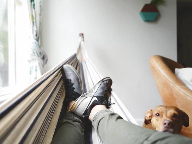 Dar atenção aos animais Dar atenção aos animais