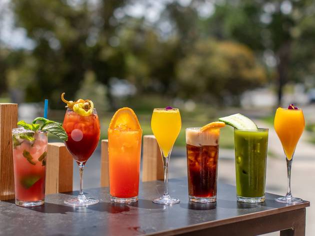 Down the Rabbit Hole Templestowe Drink selection on table at Down the Rabbit Hole Templestowe