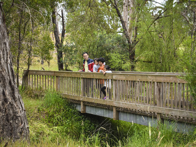 Westerfolds Park Family on bridge in Westerfolds Park