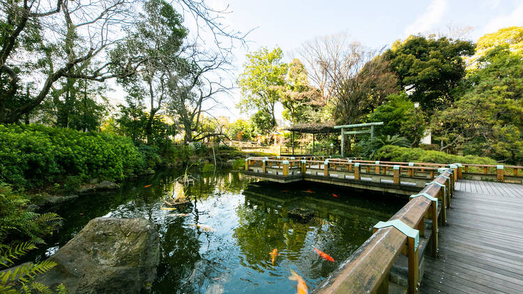 Togo Shrine