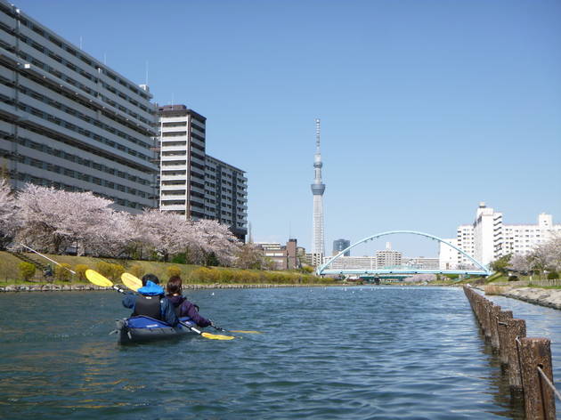 Kyunaka River cherry blossom kayak cruise Kyunaka River cherry blossom kayak cruise