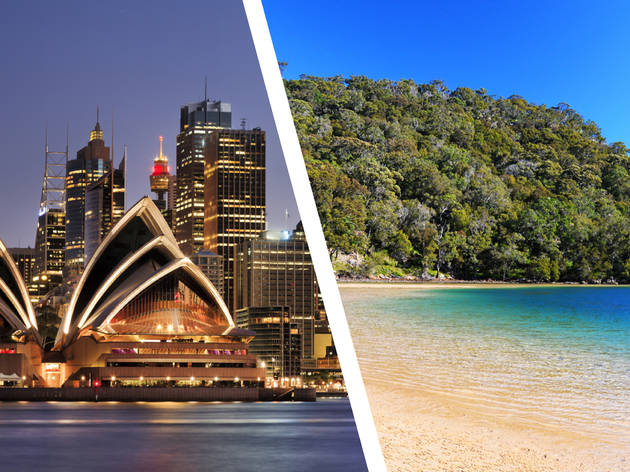 Sydney fusion trip Sydney fusion trip