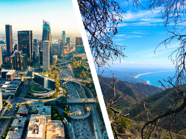 Los Angeles fusion trip Los Angeles fusion trip