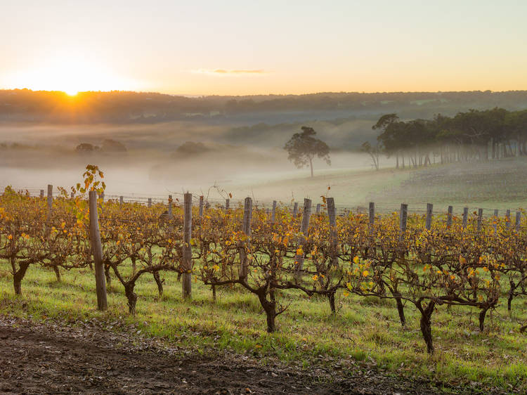 Margaret River  