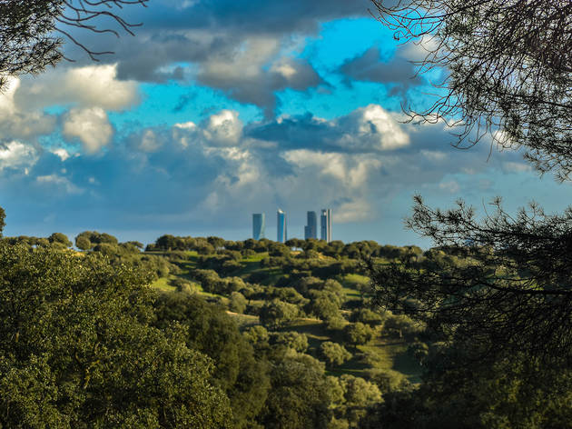 Vista desde el Monte El Pardo Vista desde el Monte El Pardo
