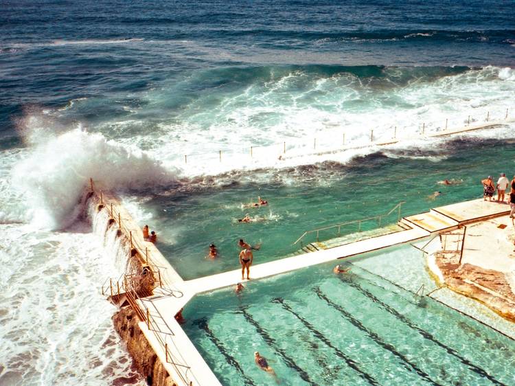 Jump into the most perfect swimming spot in Sydney