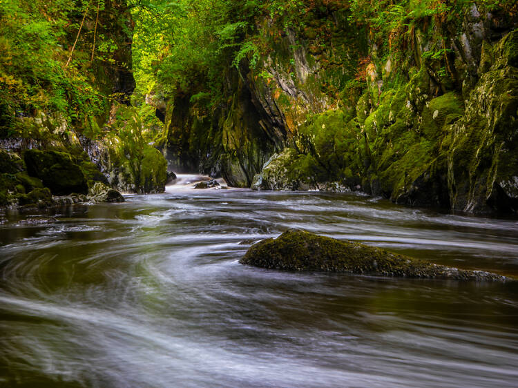 Gwydir Forest