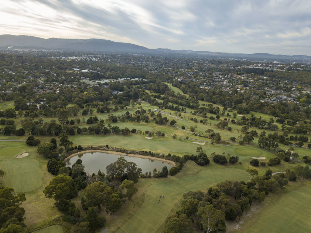 Ringwood area guide A local