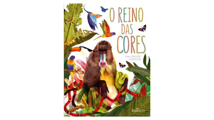 O Reino das Cores